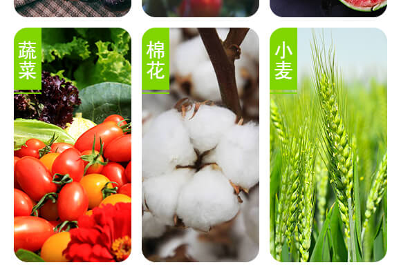 ���u��������Ƽ����޹�˾�aƷԔ���3_05