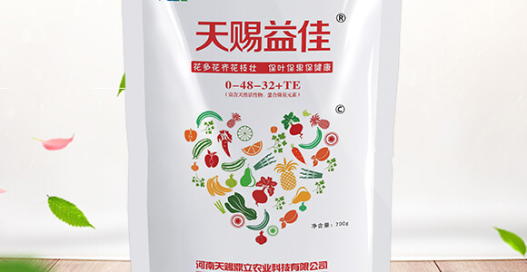 ���S�x��-���n����_02