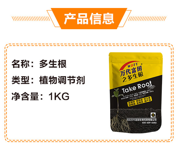 ������-�к�Ҽ��_02