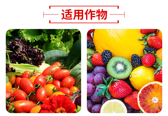 ɽ�|��(j��)����W(w��ng)(li��n)�䷽�����޹�˾�a(ch��n)ƷԔ���(y��)3_05