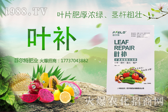 �o�����Nֲǰ����ô�����o�����Nֲ�r�g�ͷ�����