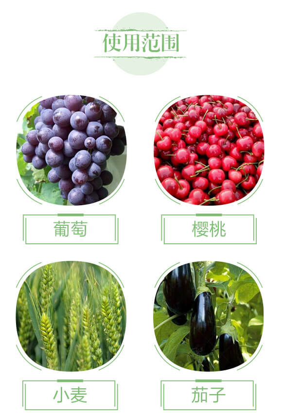 �����ЙC(j��)��-��ь�(sh��)�I(y��)_04