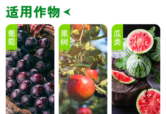 ���u��������Ƽ����޹�˾�aƷԔ���3_04