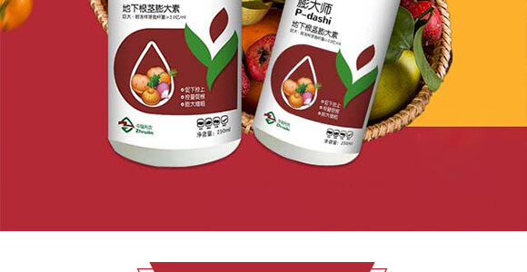 ���¸��o�����-���-����g��-�������r(n��ng)_03