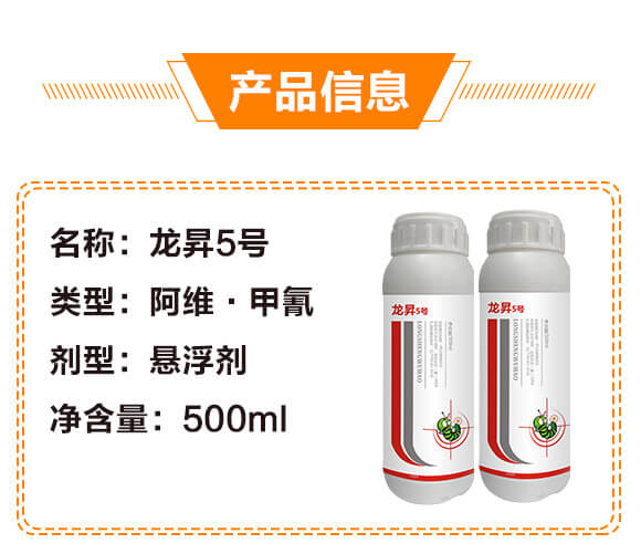 10%���S������-���N5̖-���N����_03