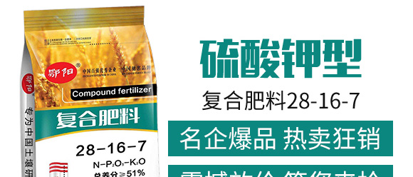 ������͏�(f��)�Ϸ���25-14-6-���_04