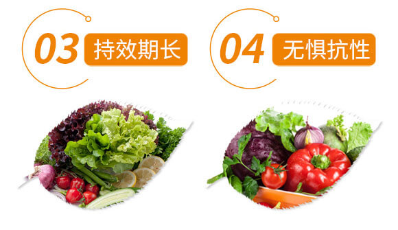 �x����+ʭ����-�����p��-����֮��_09