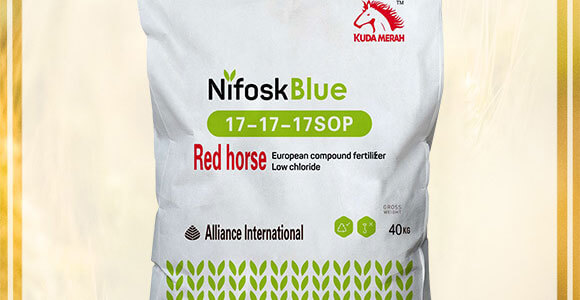 �M�ڏͺϷ�-�����Ի��W����17-17-17SOP-KUDAMERAH���_÷��_02