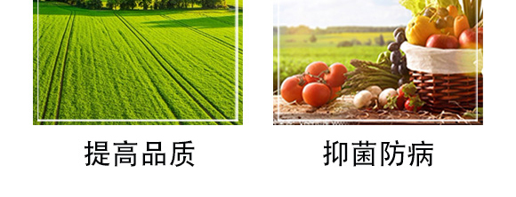 �׷����־���-�۟oۙ-�T�_(d��)_08