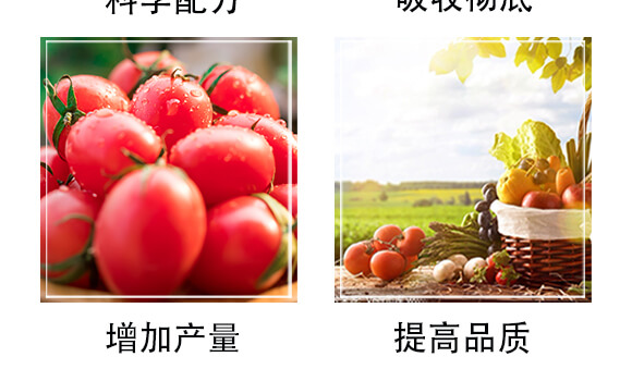 ��������ˮ�ܷ���-��̫��_05