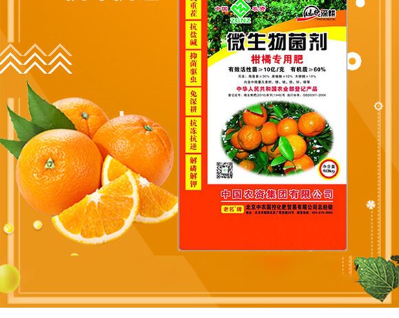 ���ٌ���΢�������-���r(n��ng)_02