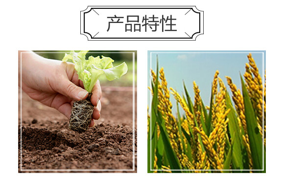 ���帯ֳ���͏�(f��)�Ϸ���18-18-18+TE-��̫��_04