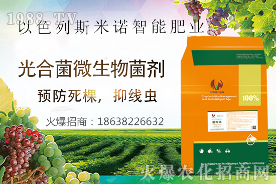 ���Y(ji��)���xΣ������̫�y��������΢�ء����æ�����ƾ��x���x�����Ƀ���