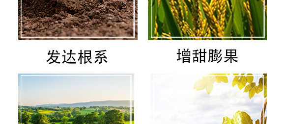 �׷����־���-�۟oۙ-�T�__07