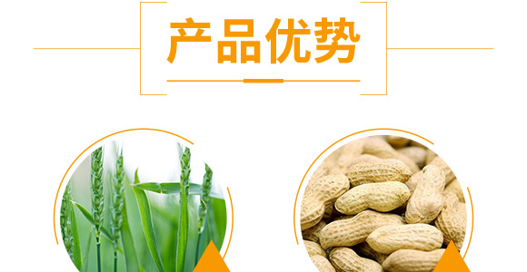 �����ٻ���ᘷ�辄�-��ؔ(c��i)-�G������_05