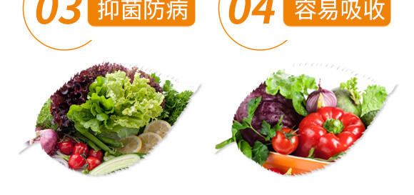 �׷ʽ�����-��ֲ(li��n)��_07