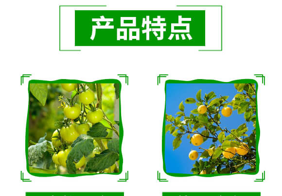 20%���E�R-�����r(n��ng)�I(y��)_04