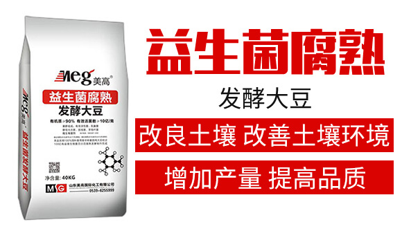 ����������l(f��)�ʹ�-����_(d��)02