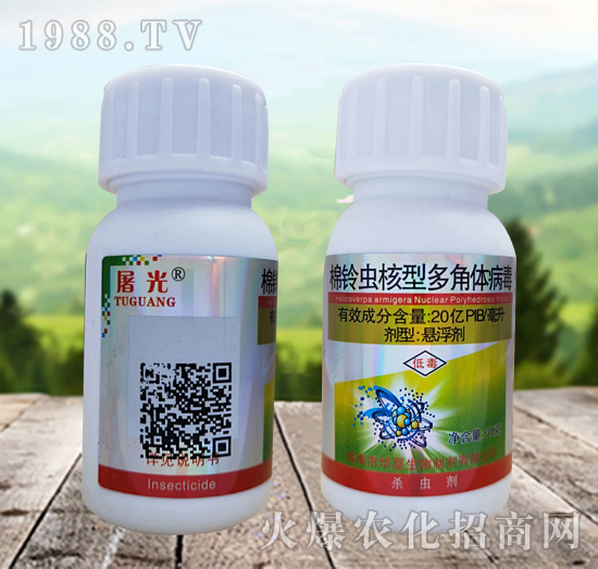 ����x���Ͷ���w������ʲô�x��Ч����ô�ӣ���ô�x����