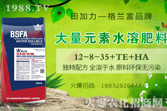 С�Ϲ����g����