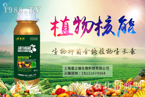 С�Ϲ����缼�g(sh��)