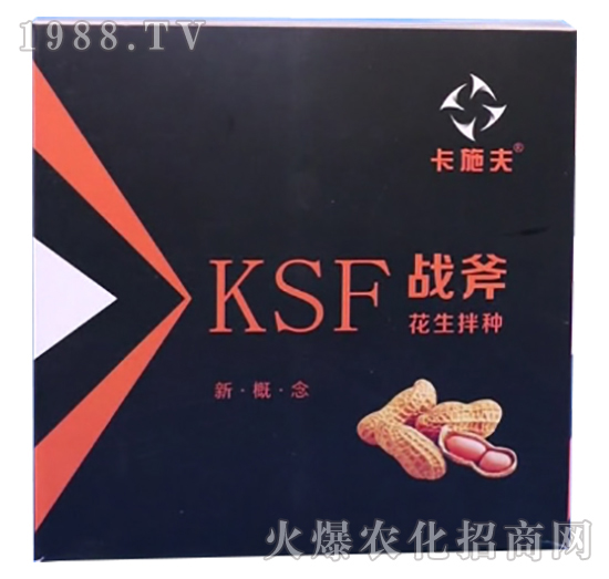 ������N����Щ��̎��������N��ʲô��N����