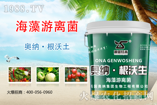 ���ӱ��W�{����Ʒ���u��������������o����ע��I�B(y��ng)�·�����