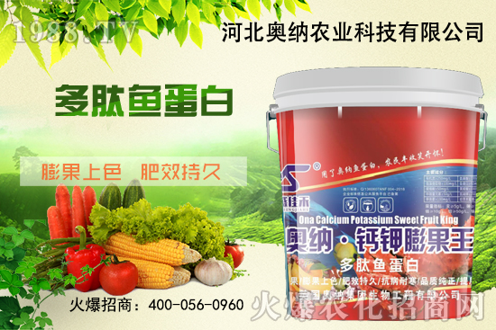 ���ӱ��W�{����Ʒ���u��������������o����ע��I�B(y��ng)�·�����