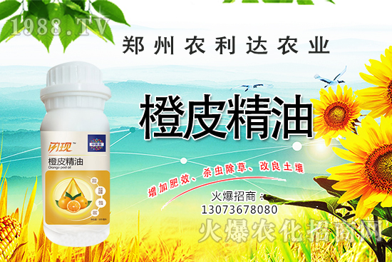 ��Ƥ�������˽��������Ƥ������ʲô���ã���ô�x��Ƥ������