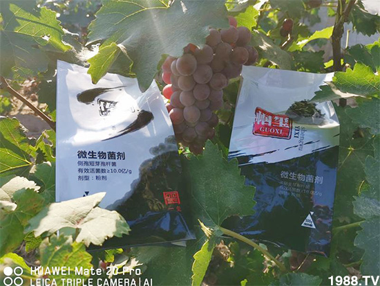 �îa(ch��n)Ʒ����������һ�t���΢������������t���͑��挍������