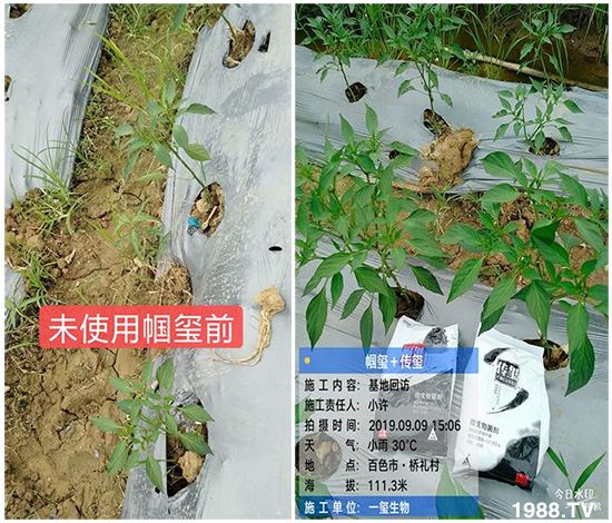 �îa(ch��n)Ʒ����������һ�t���΢������������t���͑��挍������