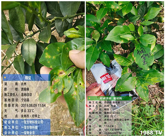 �îa(ch��n)Ʒ����������һ�t���΢������������t���͑��挍������