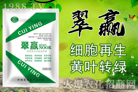 果樹(shù)噴施葉面肥