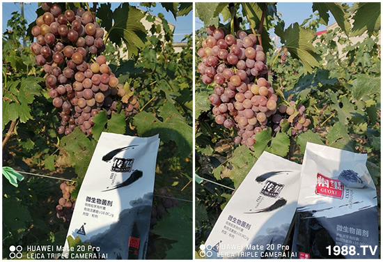 �îa(ch��n)Ʒ����������һ�t���΢������������t���͑��挍������