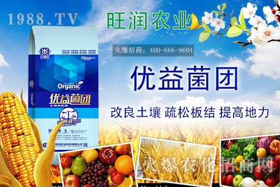 �����ЙC����ʲô���������ЙC�ʵă�(y��u)�����c�������ϵą^(q��)�e��