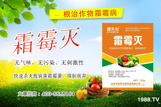 �S��˪ù��������ô�k�����������S��˪ù����