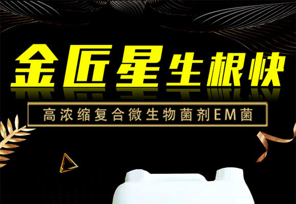 �ߝ�s��(f��)��΢�������EM��-������-����_01