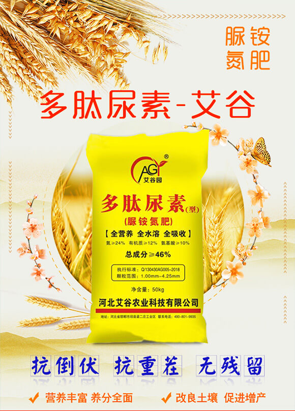 ��������-���@����-����_01