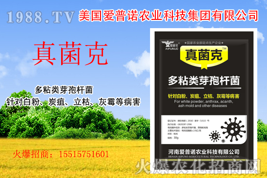 ���������Z��ʲô��(y��u)�ݣ����������Z�aƷ����Щ��