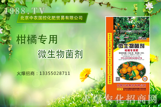柑橘怎么施肥？施什么肥？柑橘專用肥有哪些？