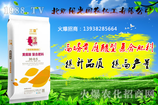 �����S�����͏ͺϷ�����ʲô���c�������S�����͏ͺϷ����m��ʲô������