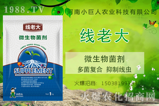 ���Y(ji��)���x(ch��ng)զ���������Y(ji��)���x(ch��ng)����-�����ϴ󡱶����(f��)�������ƾ��x(ch��ng)��