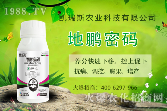 �P��˹�r(n��ng)�I(y��)��ô�����P��˹�r(n��ng)�I(y��)����a(ch��n)Ʒ����Щ��