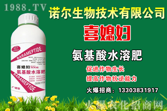 ϲϱ�D����2