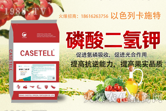  ����������ʲô���ϣ������������ü�ʹ�÷�����