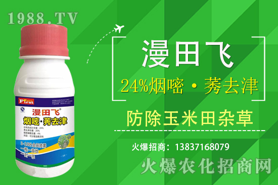 24%���ס�ݬȥ�����Ч���Æ���24%���ס�ݬȥ����ʲô���c(di��n)��