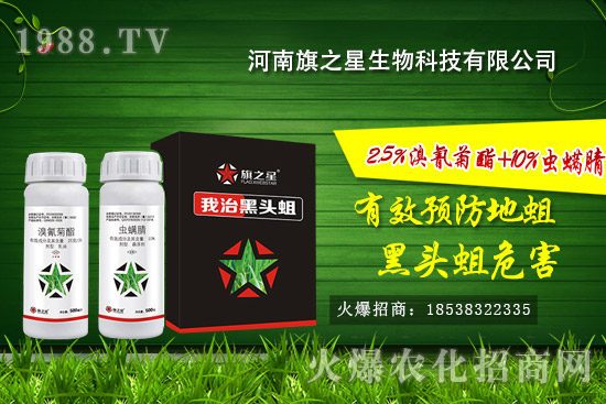 ������֮����ô����������֮�ǚ����a(ch��n)Ʒ����Щ��