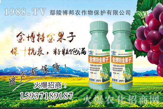 花生早衰減產(chǎn)嚴(yán)重該咋辦？花生早衰原因，種植戶如何避免？