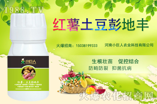 ����С������ô�ӣ���˾��ʲô��(y��u)�������Ʈa(ch��n)Ʒ����Щ��