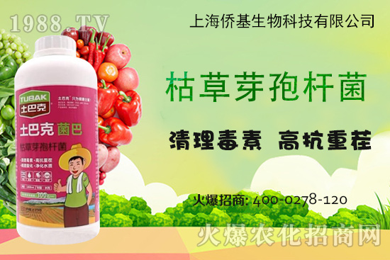 �Ϻ��S�������Ϳˡ�-��ע�����������غ������ޏ�(f��)15����